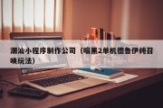 九江潮汕小程序制作公司（暗黑2单机德鲁伊纯召唤玩法）