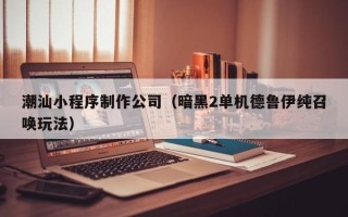九江潮汕小程序制作公司（暗黑2单机德鲁伊纯召唤玩法）